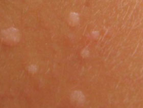 ��ƽ��ΪʲôԽץԽ��