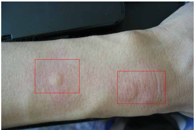 �Ⱦ�����Ƥ��������ô��